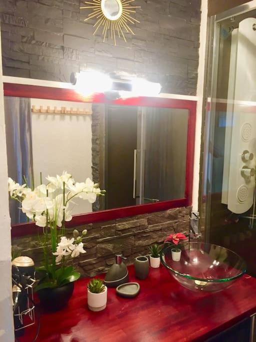Apartament Arc En Ciel Tuluza Zewnętrze zdjęcie